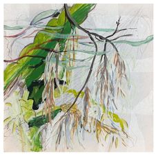 David LeMay Studies for πνήμα-pneuma, Eucalyptus, Acrylic 